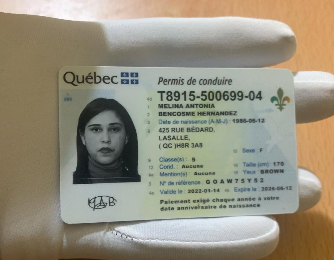 Drivers License Quiebec